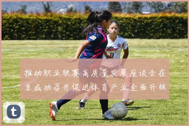 推动职业联赛高质量发展座谈会在京成功召开促进体育产业全面升级与创新发展