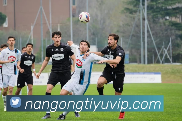 南宫体育品牌故事