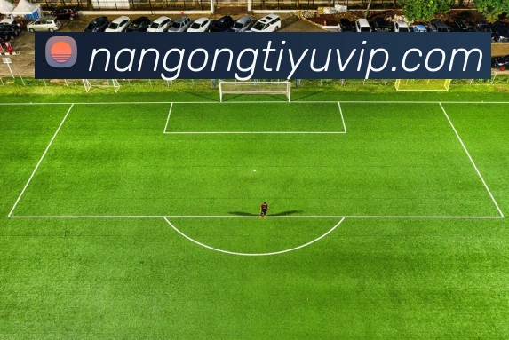 南宫体育服务体系